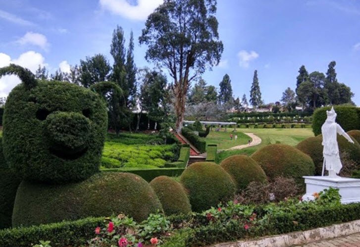 Karnataka Siri Horticulture Garden, Nilgiris, Tamil Nadu - Vushii.com